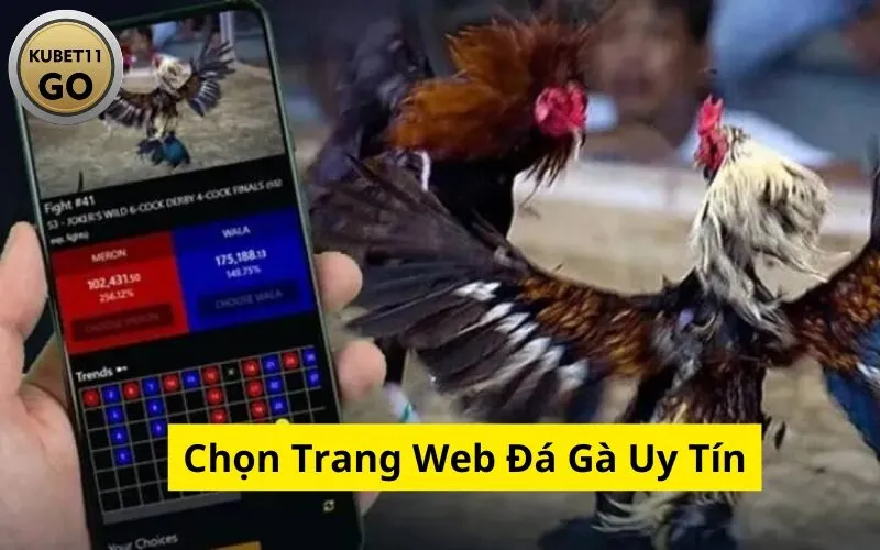 Chọn Trang Web Đá Gà Uy Tín
