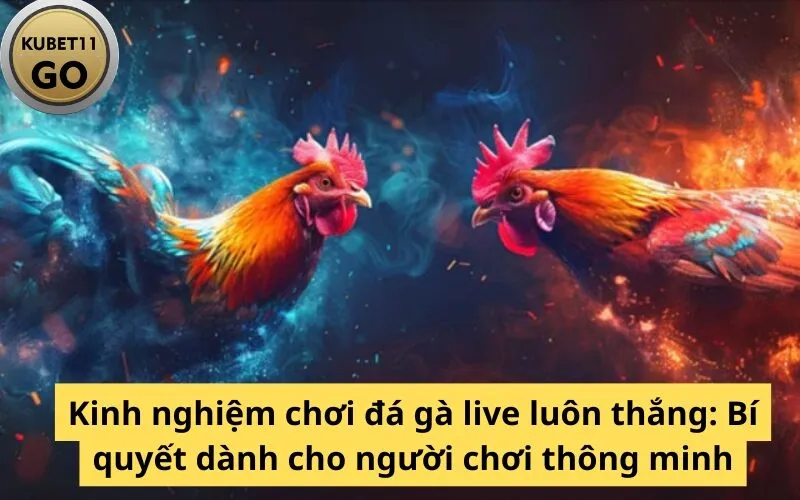 Kinh nghiệm chơi đá gà live luôn thắng: Bí quyết dành cho người chơi thông minh