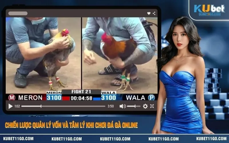 Chiến lược quản lý vốn và tâm lý khi chơi đá gà online