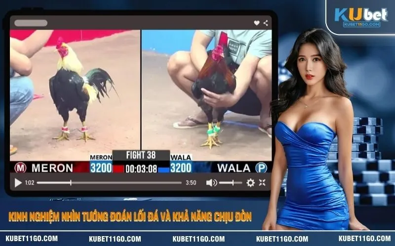 Kinh nghiệm nhìn tướng đoán lối đá và khả năng chịu đòn