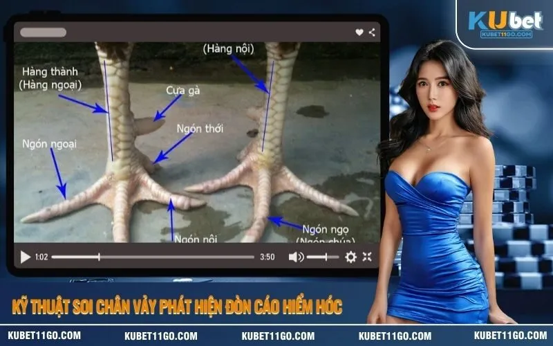 Kỹ thuật soi chân vảy phát hiện đòn cáo hiểm hóc